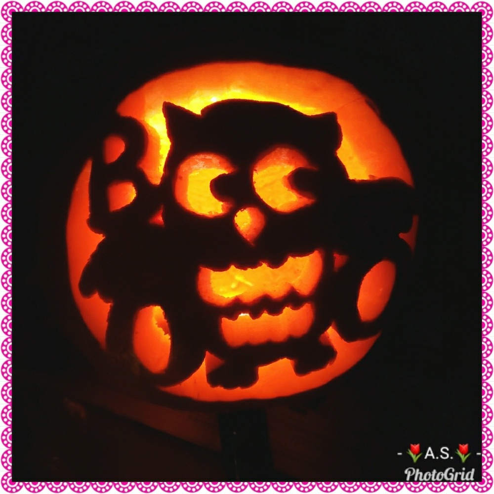 🌷🌷🌷 Meet your Posher 🌷🌷🌷 - Picture 5 of 8